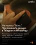 Роскомнадзор заблокировал звонки через Telegram и WhatsApp* для борьбы с мошенниками, сообщили в Минцифры РФ