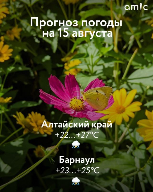  !      15 