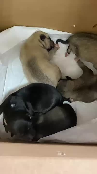 !      !