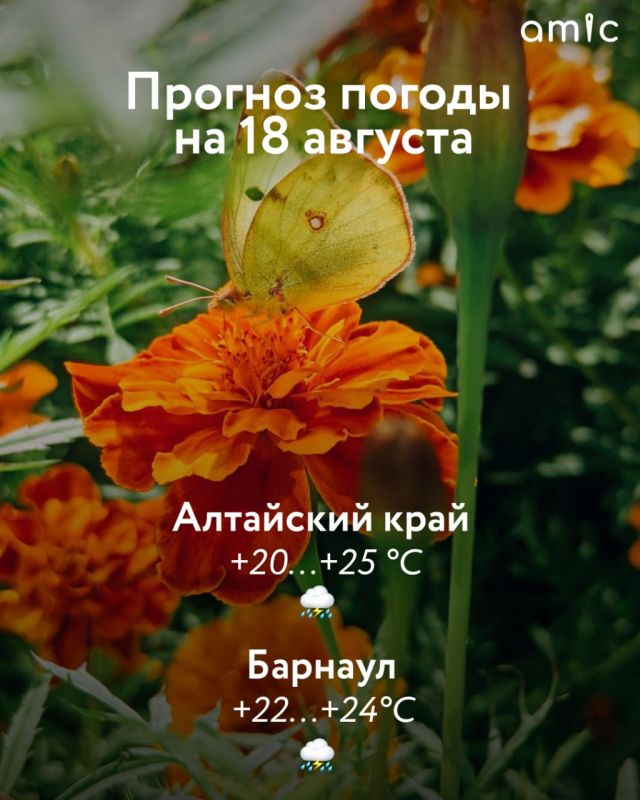 18         +20...+25 .    ,  