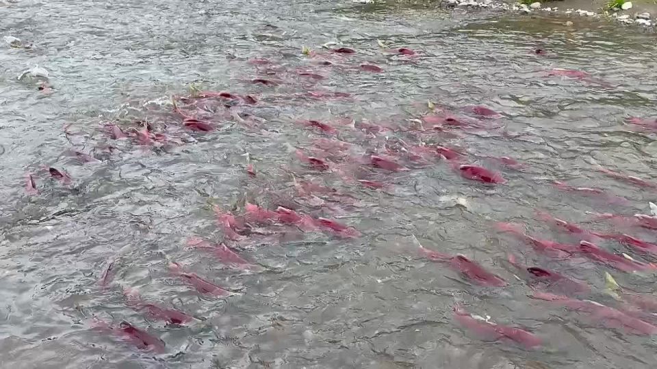 !      