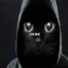  ,     ,             .    