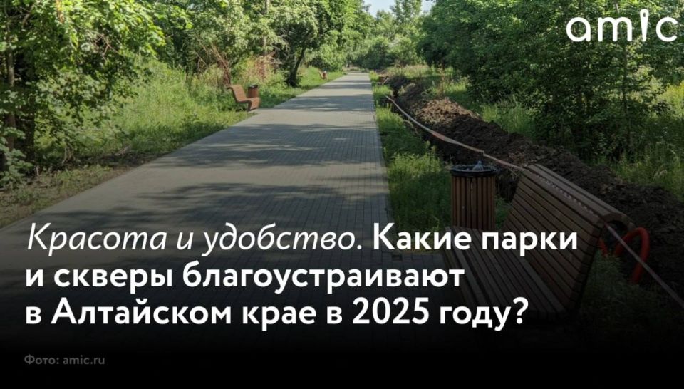  2025      86  , 30   41      &quot;  &quot;