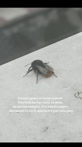    .  ,  !