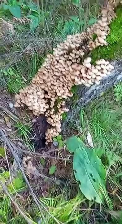    .  --!