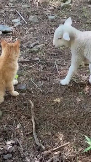  ,  !