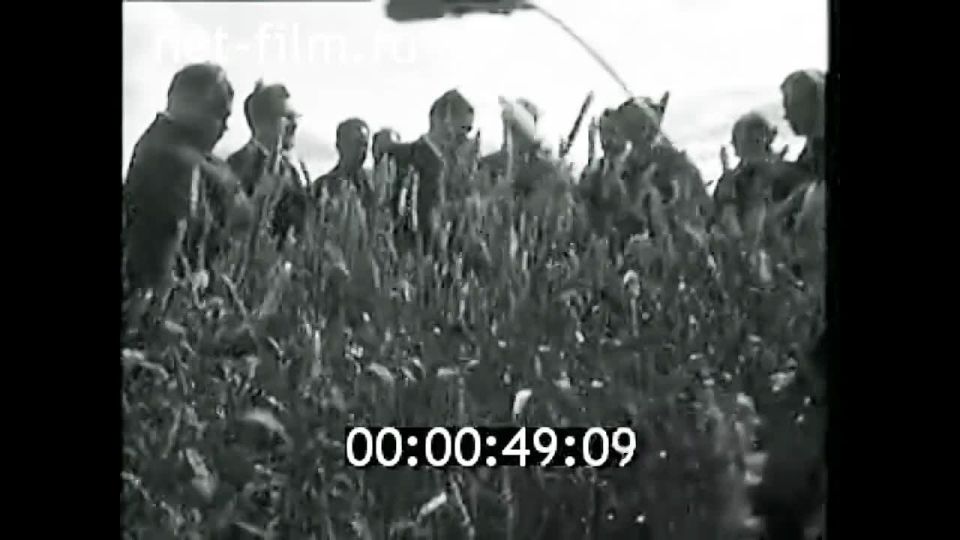 26-28  1972       ,        