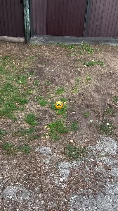       , !