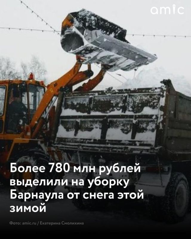          781,8  