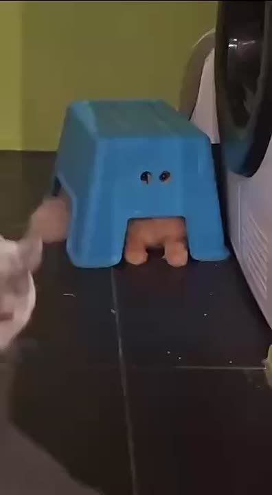    ,      