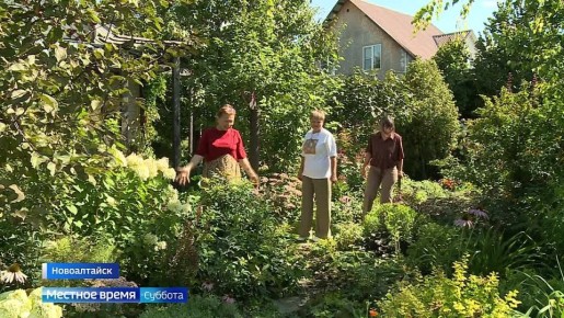 Сосна размером с яблоко: в Новоалтайске садоводы-любители организовали клуб