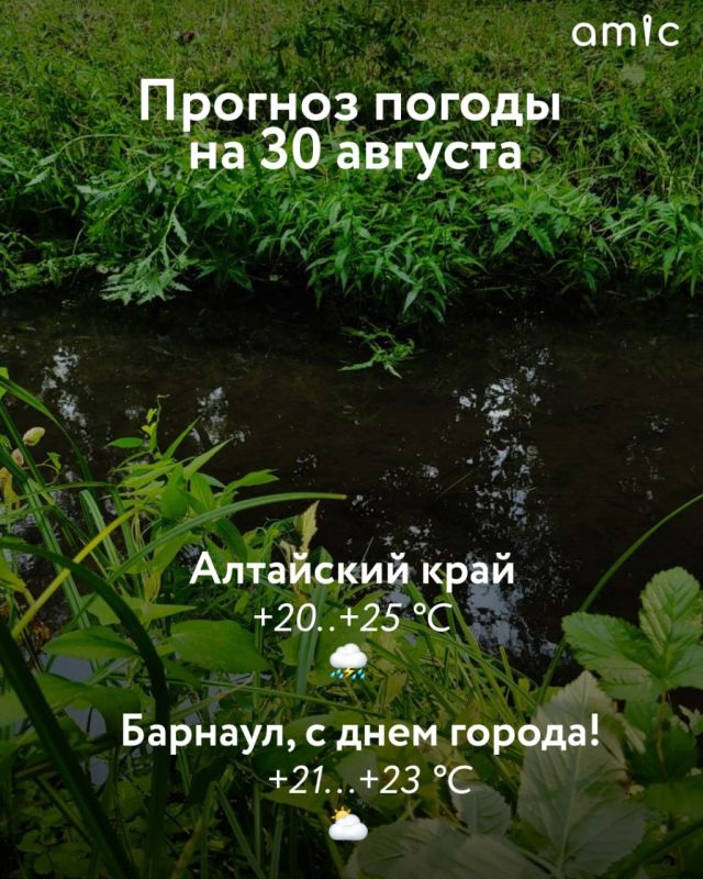 30         +20...+25 .   , ,     , ,     