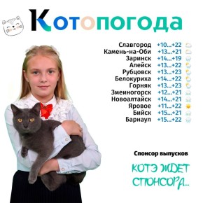   ,   -    