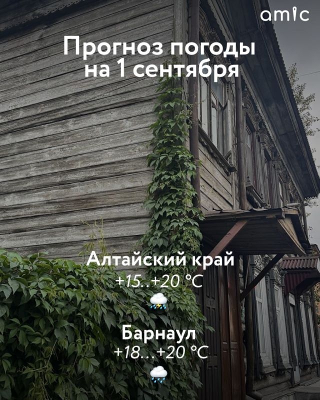 От +15 до +20 градусов ожидается в Алтайском крае 1 сентября, в День знаний