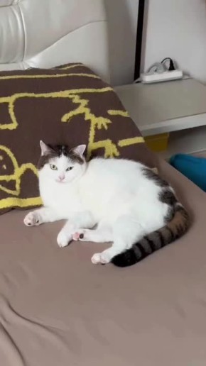  ,  !