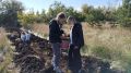 Более 820 тысяч деревьев высадят в девяти лесничествах Алтайского края