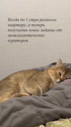  ,  !