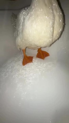  ໠  