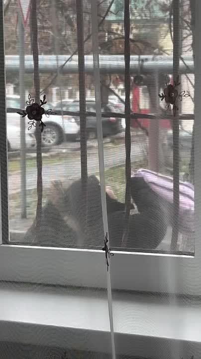  ,  !