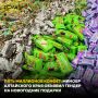 Почти 59 млн рублей потратят на новогодние подарки для детей в Алтайском крае