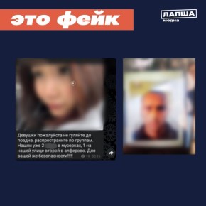 В мессенджерах жительниц Алтайского края предупреждают не выходить в темное время суток на улицу