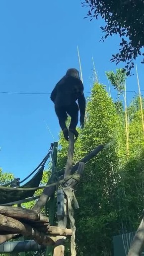 Доброе утро, Алтайский край! 