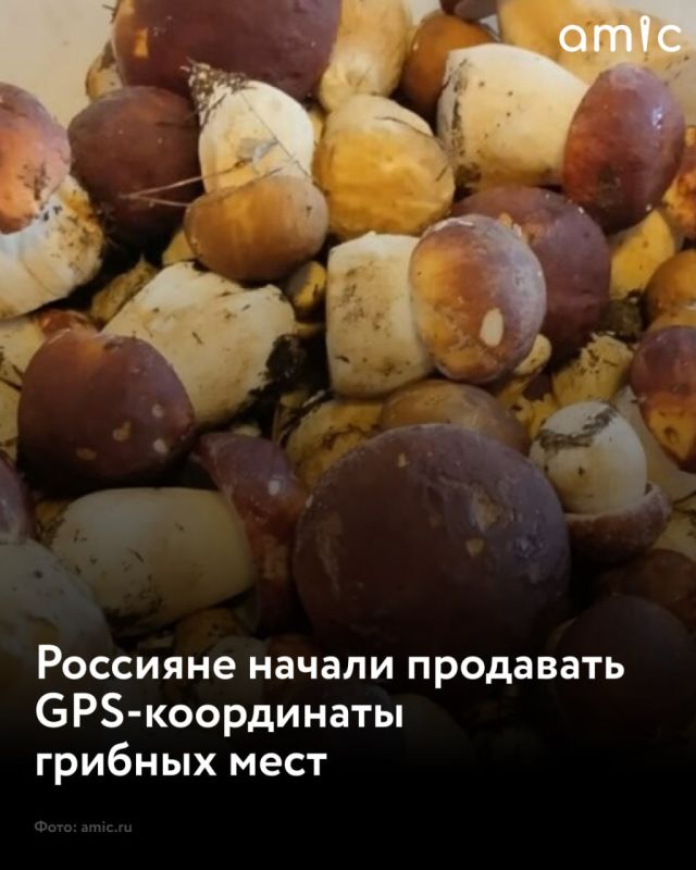     GPS-    15  