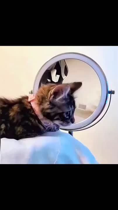      ? , ?