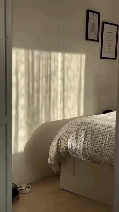  ,  !