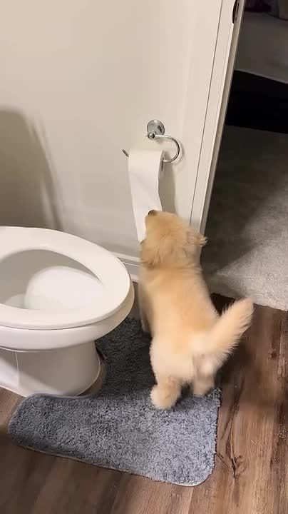       ,   ,  