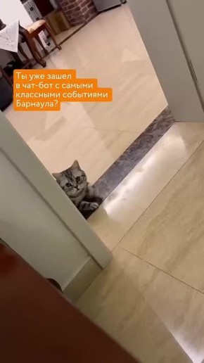   .           !    !     