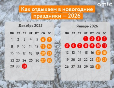    2026    12 