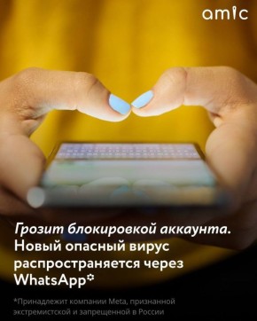   WhatsApp*    