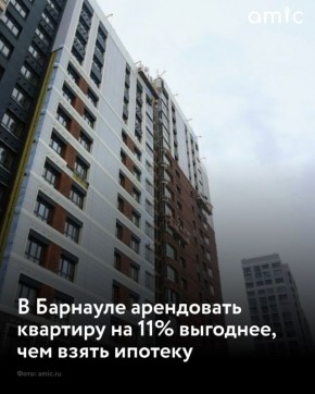       11%   