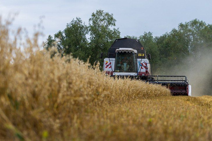 1 Сибирь завершает уборочную кампанию с рекордными показателями