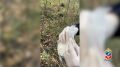          500  N-