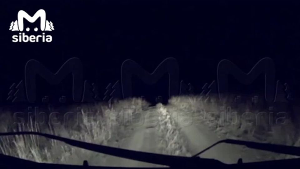 Сибиряки засняли падение метеорита