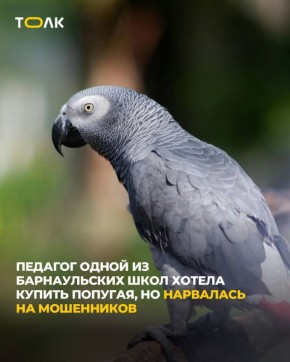   40  ,   