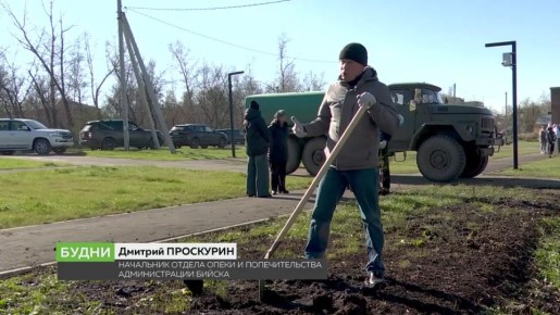 Сотрудники администрации, депутаты и все желающие бийчане приняли участие в озеленении Бийска