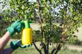 Эти препараты несовместимы: загубите весь сад