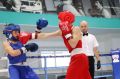 В Барнауле подведены итоги краевых соревнований на призы «Алтайского ринга»