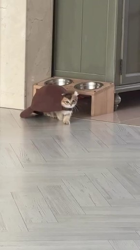 Доброе утро, Алтайский край!