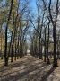 Доброе утро, Рубцовск!. По прогнозам синоптиков сегодня переменная облачность