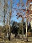 Еще один теплый осенний день ждет нас сегодня!