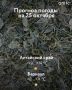 Доброе утро! О погоде в Алтайском крае 24 октября