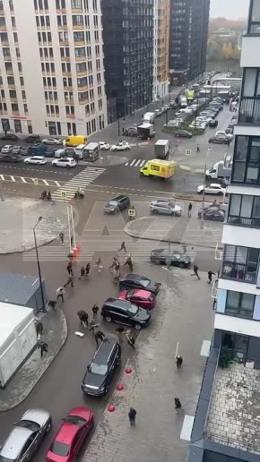 В Москве произошла массовая драка у ЖК «Прокшино»: в ход шли палки, лопаты и камни