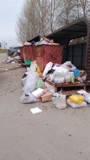 Барнаульцы пожаловались на образовавшуюся свалку по адресу ул. Малахова, 134а