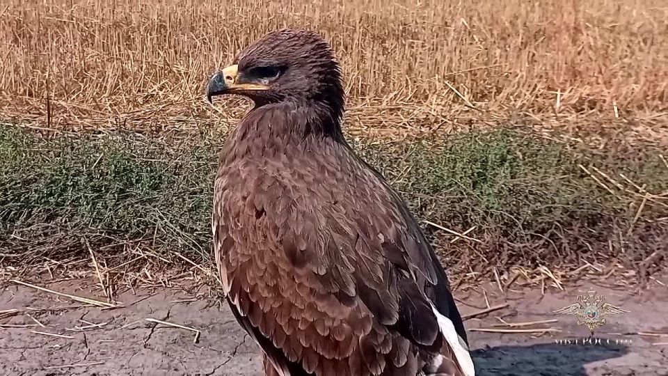  :      ,                      ...