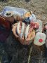 Рыбаки Алтайского края хвастаются хищными трофеями
