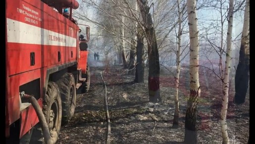 Сегодня День автомобилиста